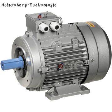 TECO Helical Gear Reducer Motor photo-3