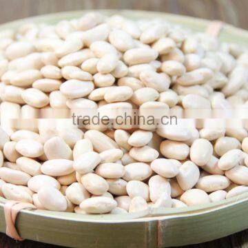 high quality natural product organic kidney beans for sale