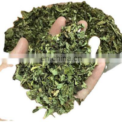 Organic papaya leaf dried/Dried papaya leaves from Vietnam/Pawpaw for tea