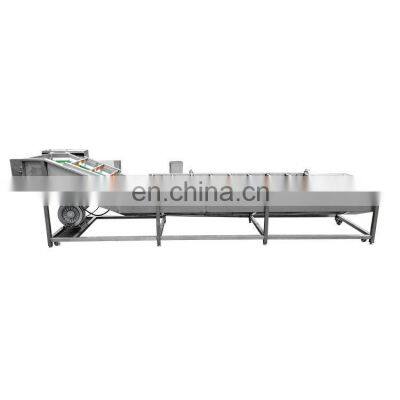 Manufacturer tomato apple lettuce spinach cabbage fruit and vegetable washing machine for sale