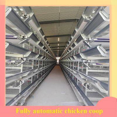 Rooster Cage