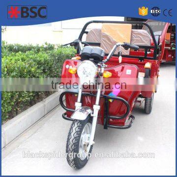 New Design High Quality Moped Cargo Tricycle for Sale photo-2
