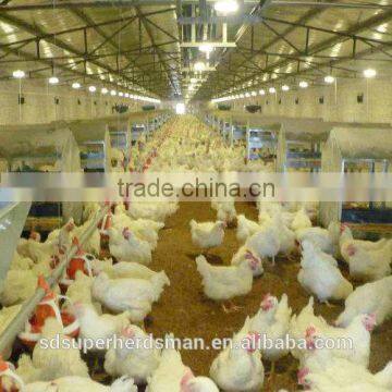 2013 automatic poultry Tunnel Ventilated Houses