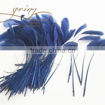 Navy blue stripped coque feather,millinery feathers,feather decoration in size 6-8''