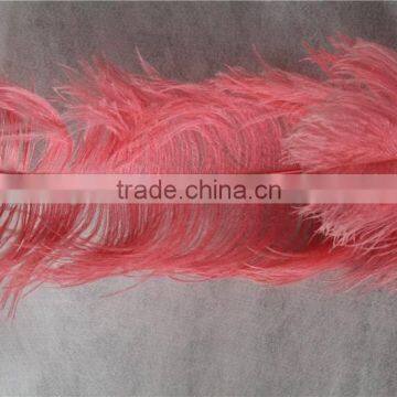 Wholesale ostrich feather 55-60cm in cerise