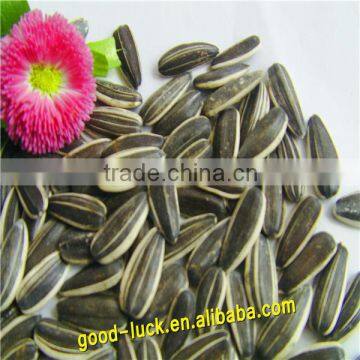 Sunflower Seeds 2015 crop