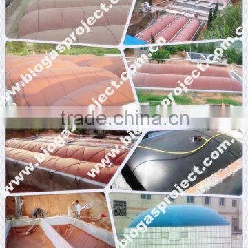 Industrial Biogas Digester photo-4