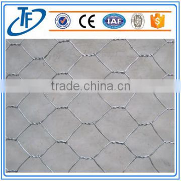 good suppliers of hexagonal chicken wire mesh for farm animals