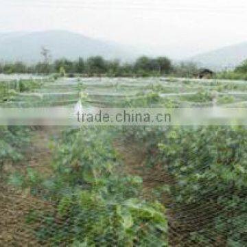 High Tensile Plastic BOP Netting for Anti Bird and Plant Support &deer Fence photo-6
