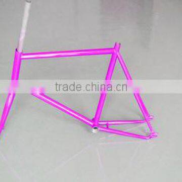 Newest Design High Quality Aluminum Fixed Gear Bike Frame photo-2
