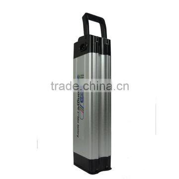 Chinese 48v 1000w Electric Bike Battery Price