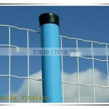 holland wire mesh fence