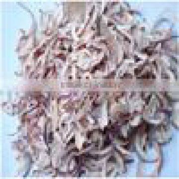 DEHYDRATED ONION