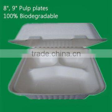 Eco-friendly Sugarcane fiber fast food packaging container with 3 Compartments