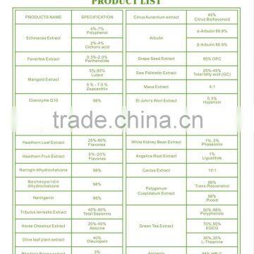 Food Supplement Green Tea Extract 95% Polyphenol Which is Pure and Organic Macha Powder photo-5