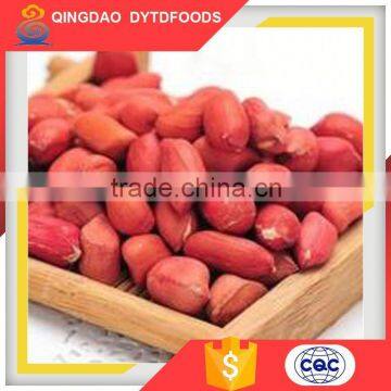 Top Quality Dry Roasted Red Skin Peanuts Salted photo-6