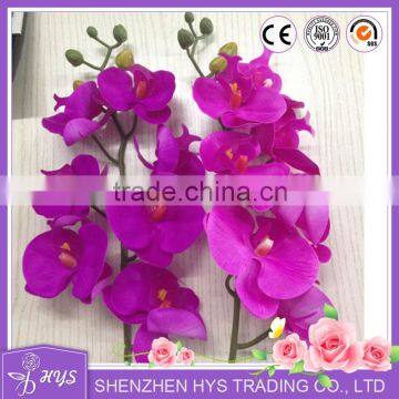 Wholesale Phalaenopsis Butterfly Real Touch Wedding Favors Orchids photo-5