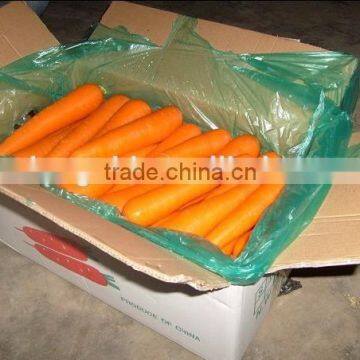 2016 New Crop Fresh bulk carrot for sale