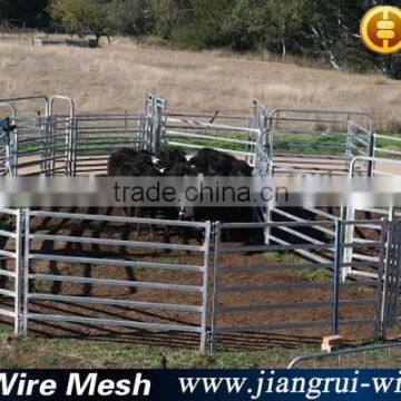 Cattle Panels