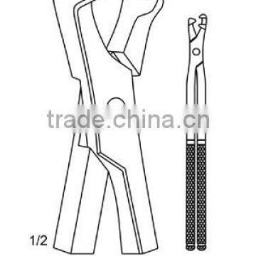 Horse Dental Equipment
