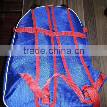 AS Cricket Back Pack Bag - PCB photo-4