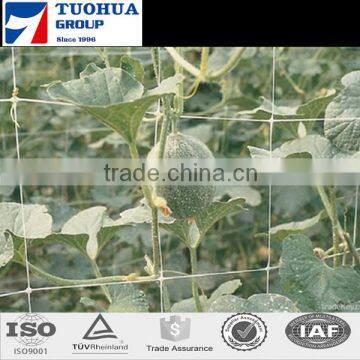 Plant Support Net/Vegetable Climbing Net for Hot Sale in TUOHUA