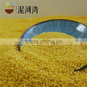 yellow millet type of 8311 2015crop nice price