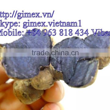 GIMEX VIET NAM PURPLE GINGER