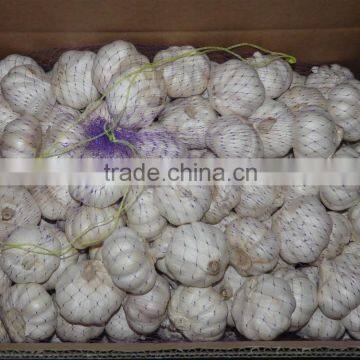 2015 New Crop of Fresh garlic/Normal White Garlic/Pure White Garlic