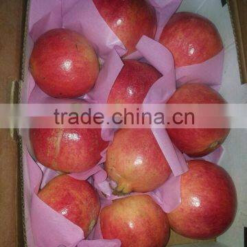 4.5 kg carton box Packing of Fresh Pomegranates from Egypt