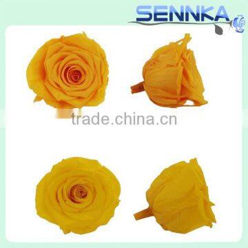 Natural Preserved Fresh Flowers Preserved Roses Wholesale