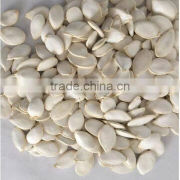 excellent quality snow white pumpkin seeds from China for saudi Arabia market