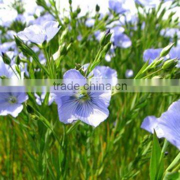 China Supplier Organic Flaxseed Oil (alpha Linolenci Acid) Omega 3 Oil Refined photo-2