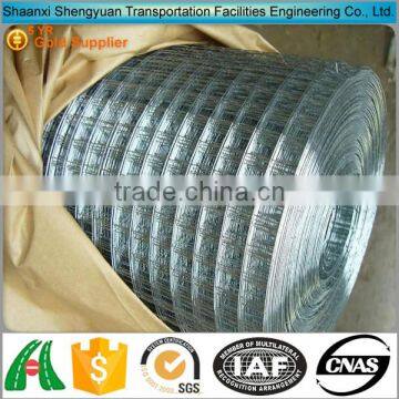 Cheap 1/2 inch square hole galvanized welded wire mesh in roll for rabbit cage