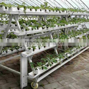 Plastic Strawberry Grow Box photo-3