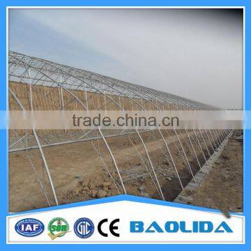 Cheap Agricultural Single Tree Greenhouse photo-3