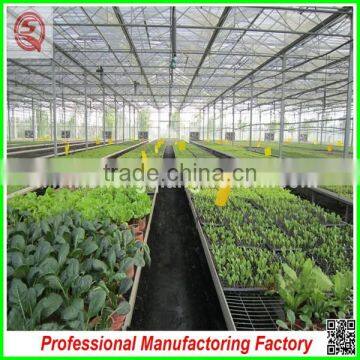 Hard and Durable Steel Profiles Polycarbonate Sheet Greenhouses for Sale photo-3