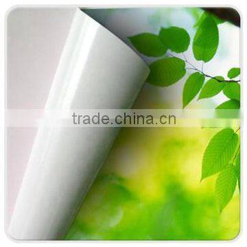 Self Adhesive Vinyl for Cutting Plotter,color Cutting Vinyl,self Adhesive Cutting Vinyl photo-2