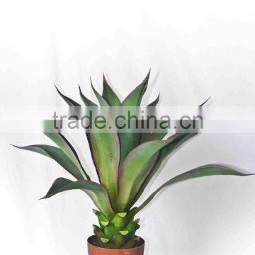 Evergreen fake tropical bonsai plants