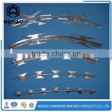 top credit supplier galvanized rozar barbed wire