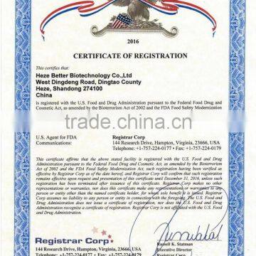 High Quality Instant Dry Yeast 500g Supplier photo-6