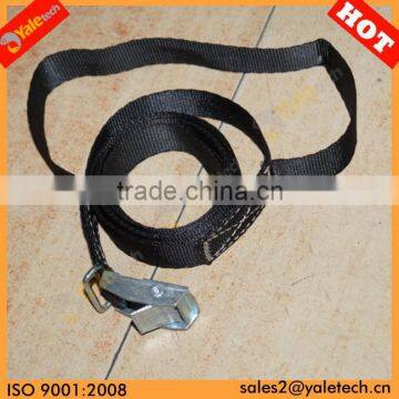 TUV/GS approved 25 mm 1 inch roof rack straps/endless cargo lashing/endless cam buckle strap