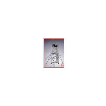 Double width scaffolding with vertical ladder