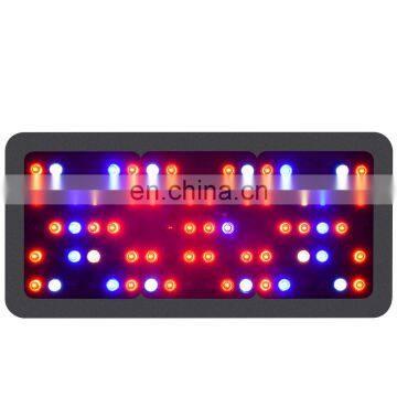 900w Full Spectrum LED Grow Light With 10W Double Chips For Indoor Grow Tent Hydroponics Plants Growing and Flowering Seeding photo-4