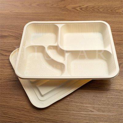 Eco-friendly Biodegradable Disposable 5 Compartment Lunch Box With Lid photo-2