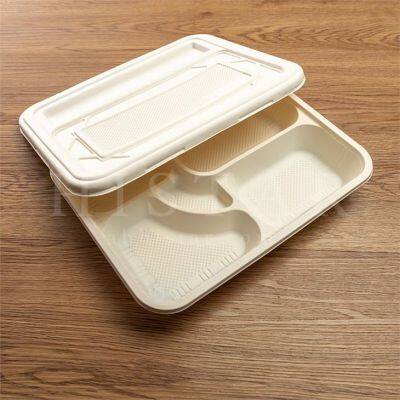 Eco-friendly Biodegradable Disposable 5 Compartment Lunch Box With Lid photo-3