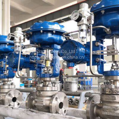 Globe Type Control Valves