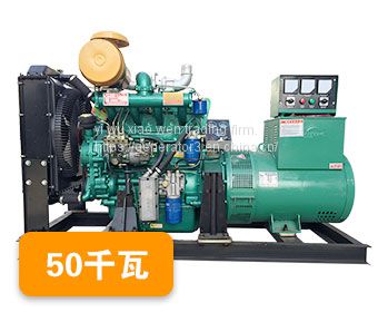 Weifang 50KW diesel generator set