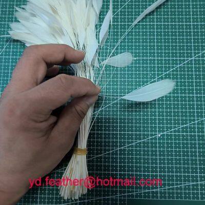 Stripped White Rooster Tail Feather For Wholesale From China photo-2