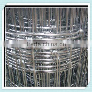 grassland wire mesh/farm fence (Hot sale)